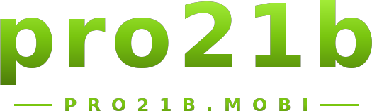 pro21b logo